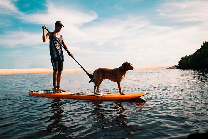 Impresionante foto de un hombre remando en una canoa con un perro a bordo - retratos de estilo de vida