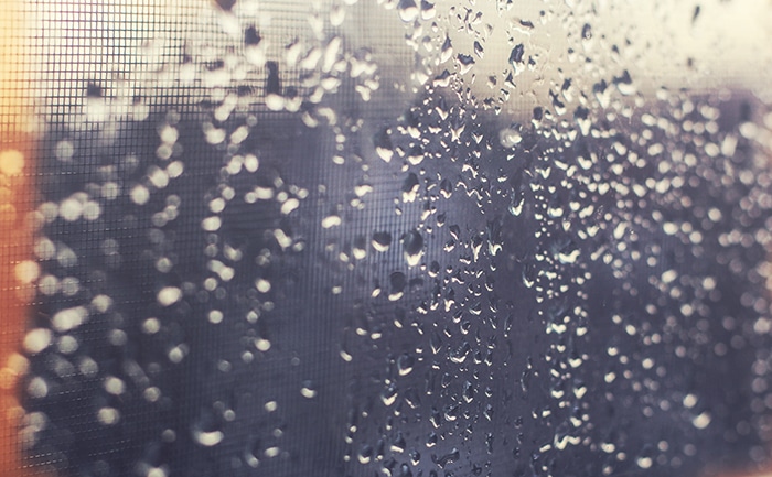 Foto de gotas de lluvia con fugas de luz.