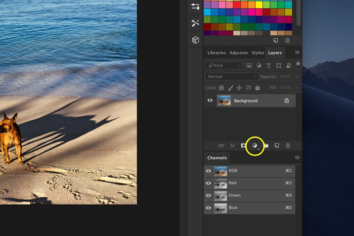 Una captura de pantalla de cómo agregar fugas de luz a una foto en Photoshop