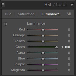 Una captura de pantalla que muestra cómo usar los controles deslizantes HSL en Lightroom: control deslizante de luminancia