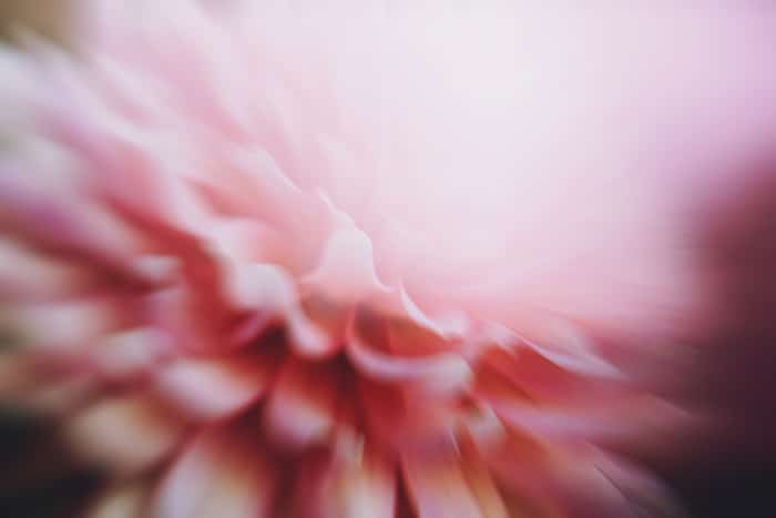 Fotografía impresionista artística de una flor rosa borrosa