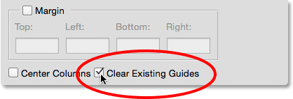 Seleccionar la opción Borrar guías existentes en el cuadro de diálogo Nuevo diseño de guía. 