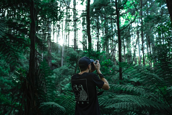 Un hombre tomando fotos en un bosque verde.