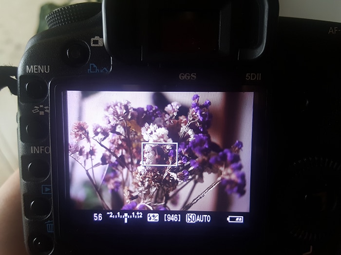 Un primer plano de una cámara DSLR fotografiando una flor con el modo de prioridad de apertura