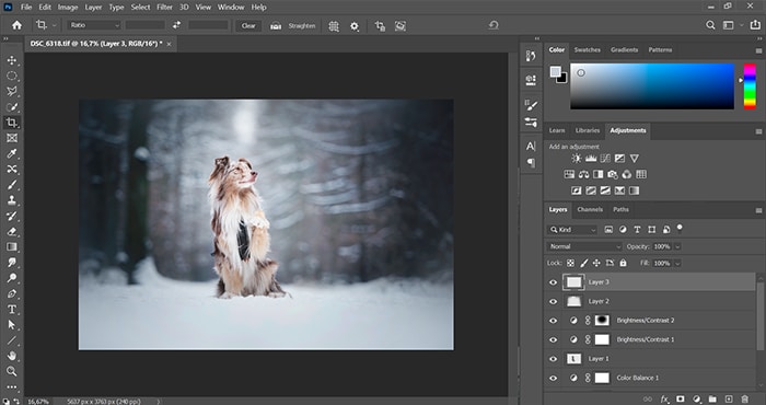 Imagen de la interfaz de Adobe Photoshop