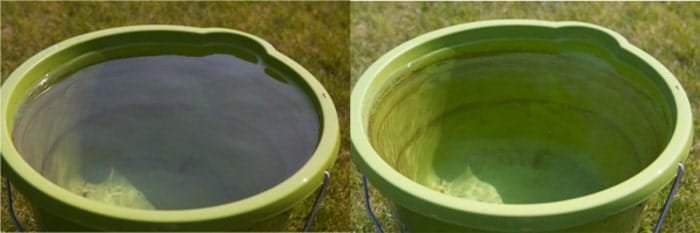 Un díptico de la misma foto de un balde verde en un día soleado, antes y después de usar un filtro polarizador.
