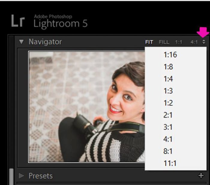 Una captura de pantalla que muestra cómo blanquear los ojos y los dientes en Lightroom - navegador