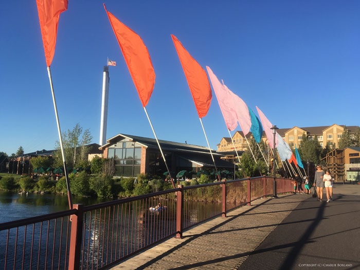Una línea de banderas de colores brillantes junto a un puente, tomada con la cámara del iPhone
