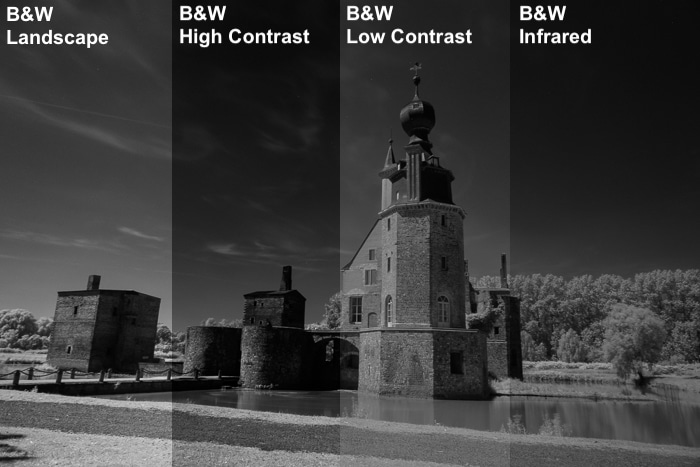 una imagen dividida en 4 para mostrar la comparación entre algunos ajustes preestablecidos de B & amp; W en una imagen de infrarrojos.
