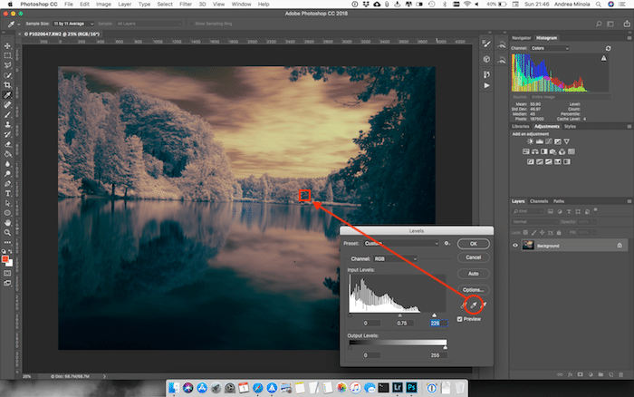 Captura de pantalla de la edición de una foto infrarroja de un estanque en Photoshop