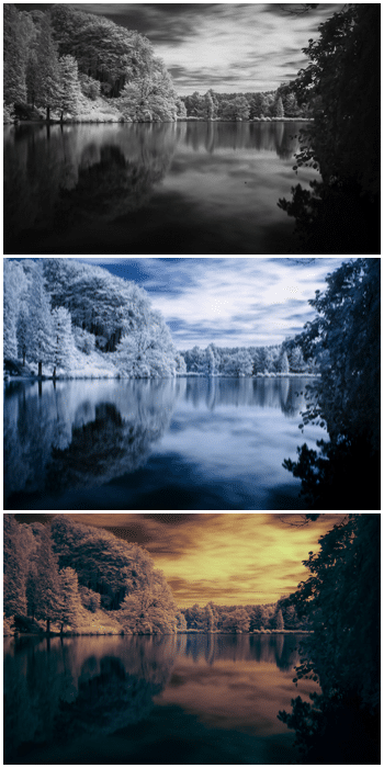 Tríptico que muestra la misma foto con tres estilos diferentes de edición de fotografías infrarrojas