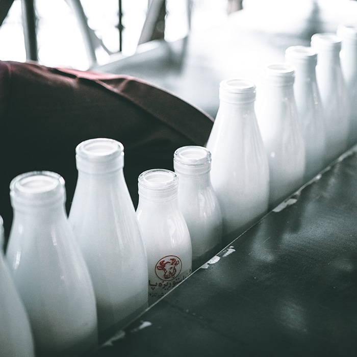 Una fila de botellas de leche de diferentes tamaños. 