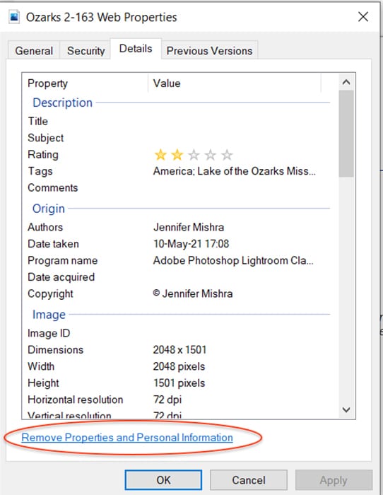 una captura de pantalla del panel de propiedades de Windows que muestra cómo eliminar metadatos de su imagen