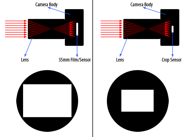 Un diagrama que muestra la diferencia en el tamaño del sensor entre una película / sensor de 35 mm y un sensor de recorte