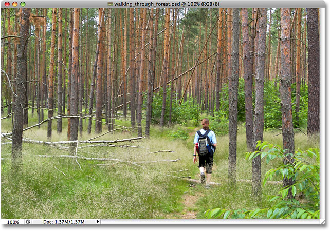 Una foto de alguien caminando por el bosque.  Imagen con licencia de iStockphoto de Photoshop Essentials.com.