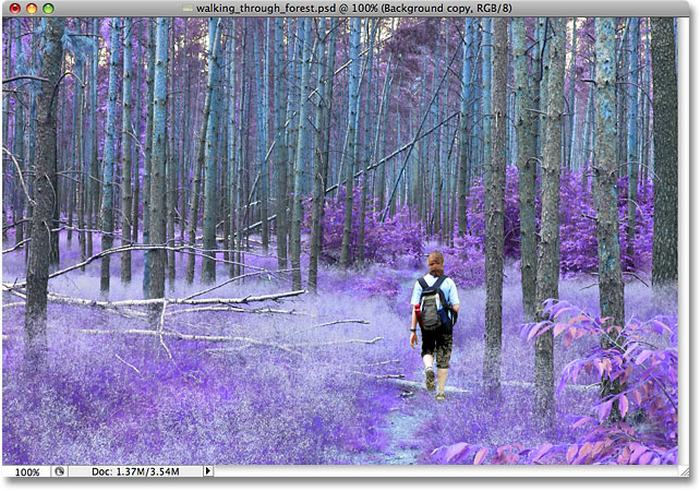 La imagen después de cambiar el modo de fusión a Color.  Imagen © 2009 Photoshop Essentials.com.