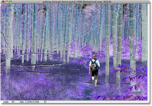 Los colores de la foto se han invertido.  Imagen © 2009 Photoshop Essentials.com.