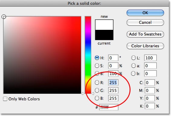 Elegir blanco en el Selector de color en Photoshop.  Imagen © 2010 Photoshop Essentials.com.