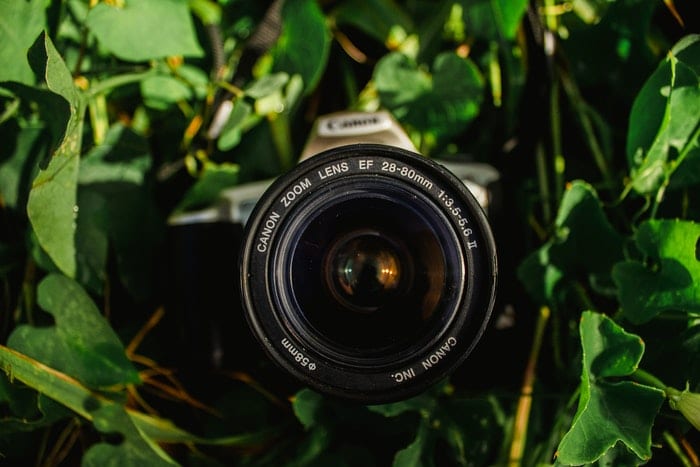 Una cámara con un objetivo zoom canon entre hojas.