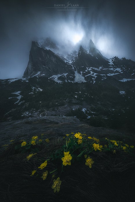 Foto de montaña rocosa atmosférica oscura con flores amarillas en primer plano.