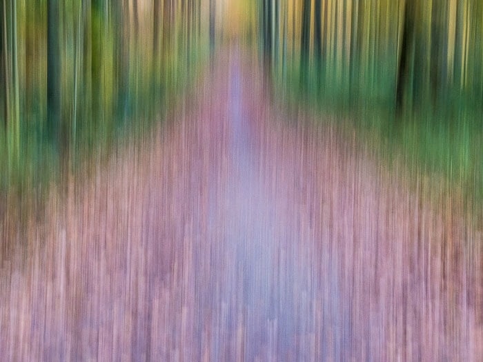 Paisaje abstracto en el bosque de Sonian con desenfoque de movimiento creativo