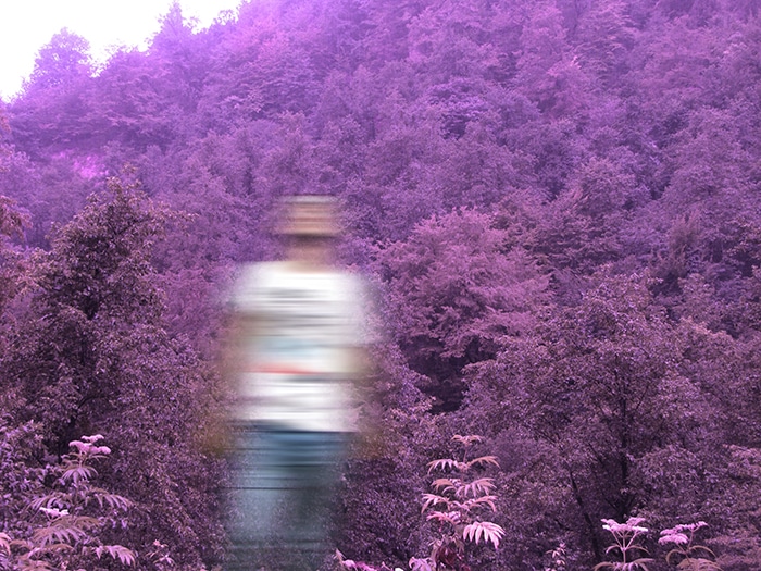 Foto borrosa de movimiento de un hombre frente a árboles morados