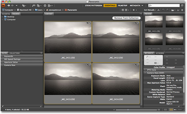 Seleccionar varias imágenes en Adobe Bridge CS4.