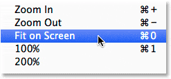 Seleccionando Ajustar a la pantalla en el menú Ver.