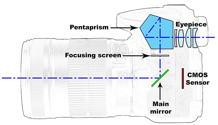 diagrama que muestra los componentes más importantes de una cámara réflex digital
