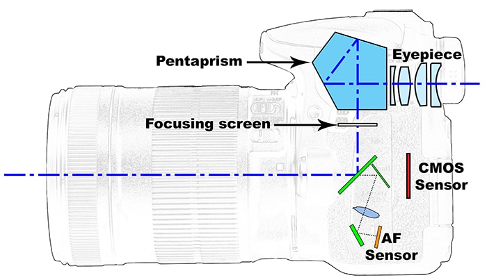 diagrama que muestra los componentes importantes de una cámara réflex digital
