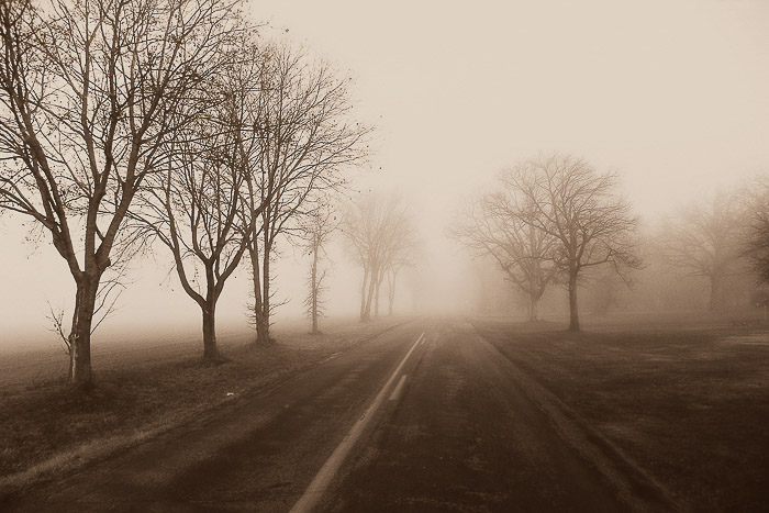 Un paisaje y una carretera con niebla.