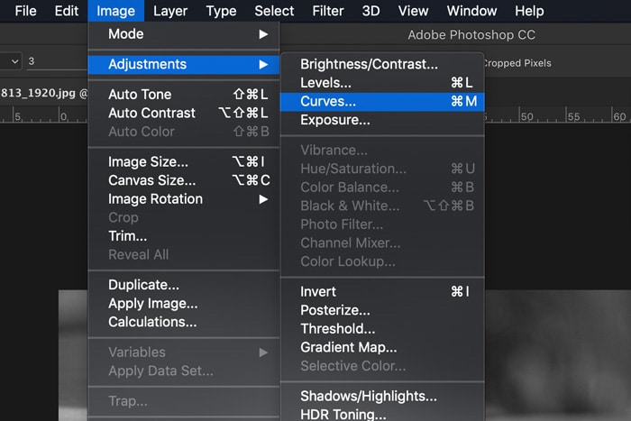 Una captura de pantalla de cómo convertir una imagen a blanco y negro en Photoshop