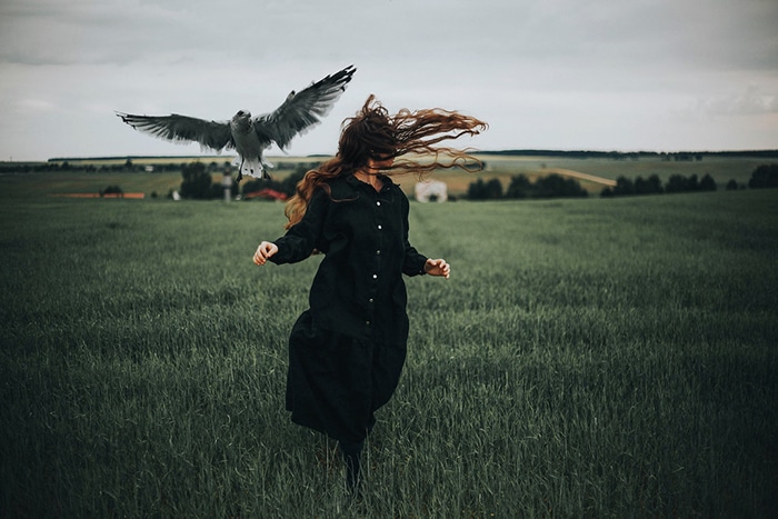 Un retrato oscuro conceptual de un modelo femenino huyendo de un pájaro en un campo - Moody Photography