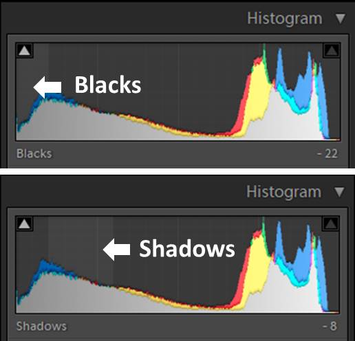 Una captura de pantalla del histograma de lightroom: uso de sombras y negros en lightroom