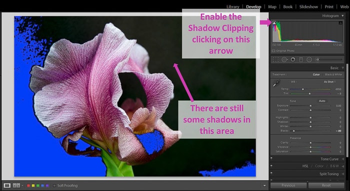 Una captura de pantalla que muestra cómo usar las sombras y los controles deslizantes negros de Lightroom para un mejor control