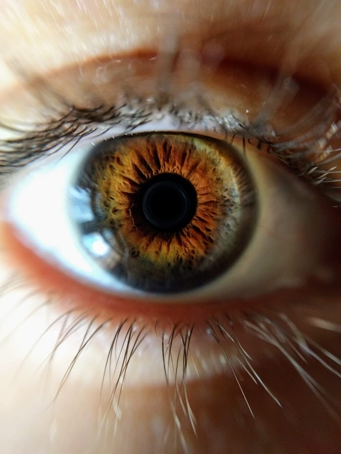 Fotografía macro de un ojo marrón