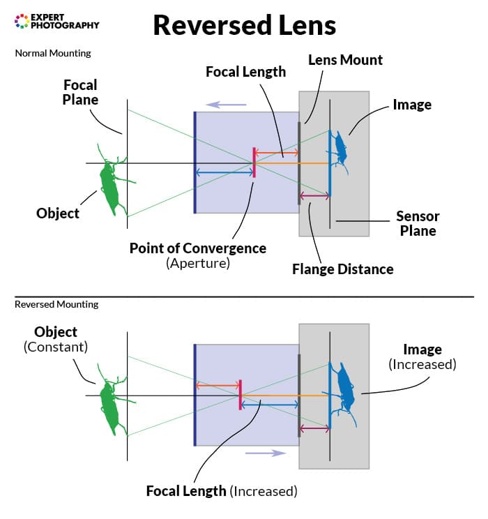 un diagrama que muestra cómo funciona una lente invertida