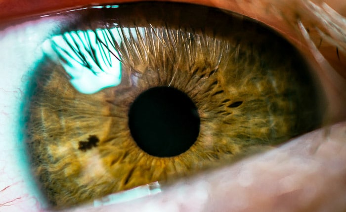 Una fotografía macro de un ojo marrón