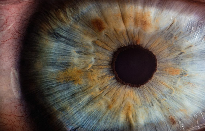 Una imagen macro de un ojo.