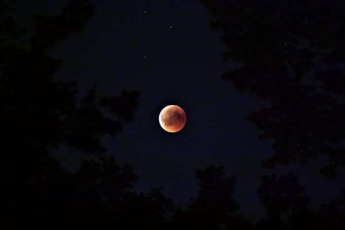 luna de sangre en el cielo nocturno