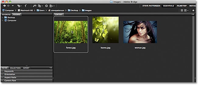Seleccionar una sola imagen en Adobe Bridge.