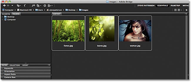 Las tres imágenes ahora están seleccionadas en Adobe Bridge.