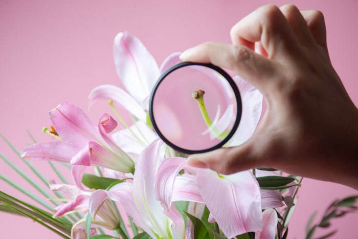 Una mano sosteniendo un filtro macro delante de una flor rosa