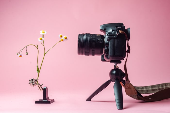 Foto de una cámara DSLR en un trípode usando filtros de primer plano para tomar una fotografía de una flor