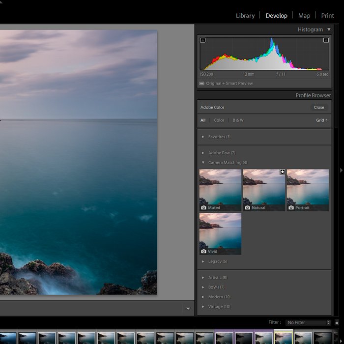 Captura de pantalla de nuevos perfiles de cámara en Adobe Lightroom para editar fotografías de viajes. 
