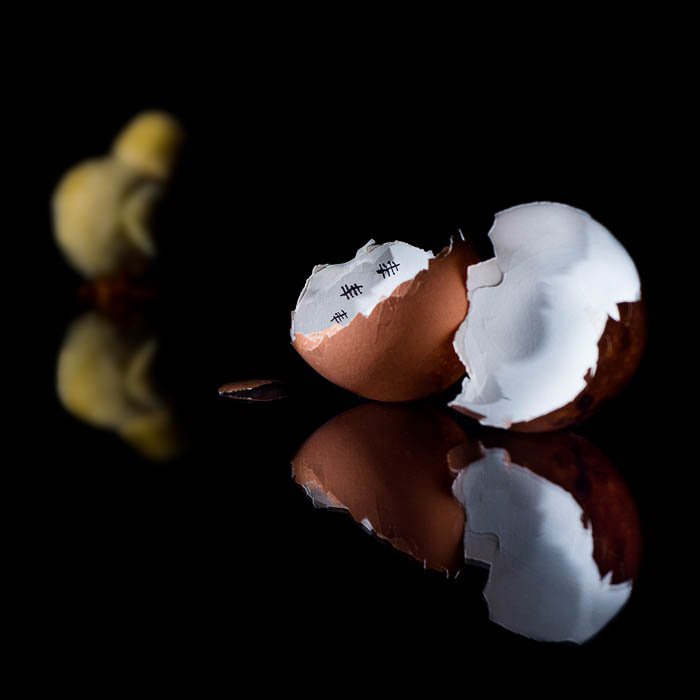 Foto de naturaleza muerta con un huevo roto y un pollo