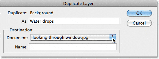 Cuadro de diálogo Photoshop Duplicate Layer.