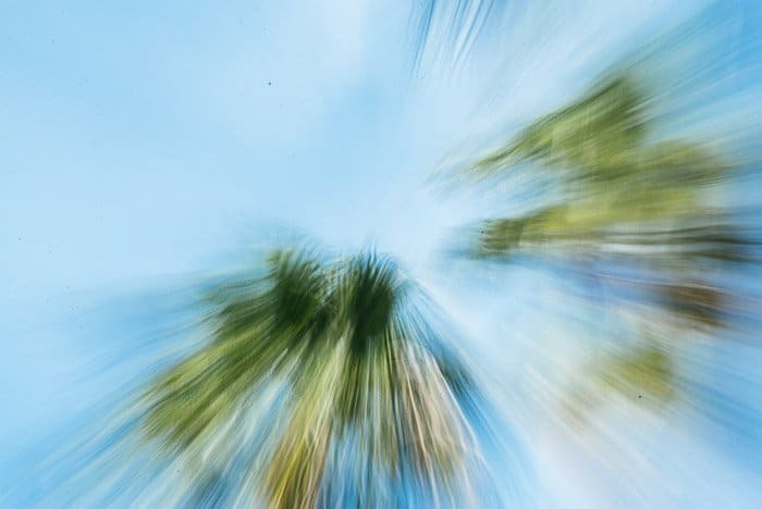 Una foto borrosa de palmeras tomada con un teleobjetivo en el modo de ráfaga de zoom