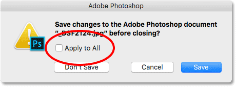 La opción Appy to All guardará o no guardará todas las imágenes que está cerrando.