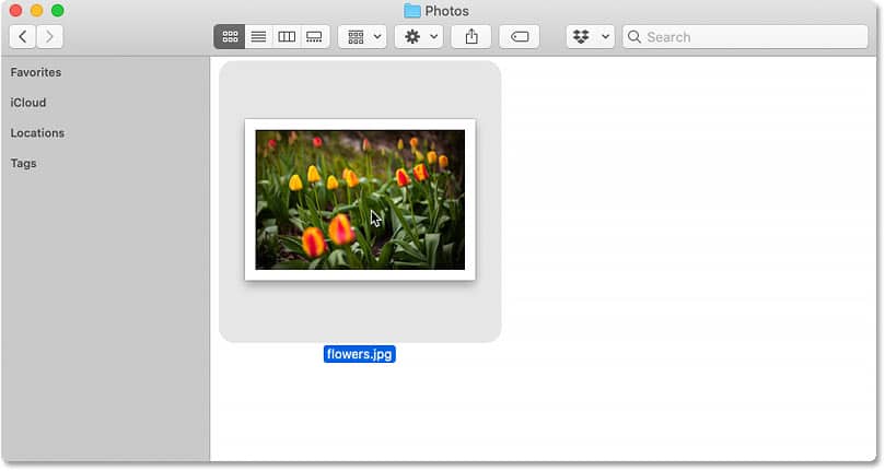Haga doble clic en la miniatura de la imagen JPEG para abrirla en macOS